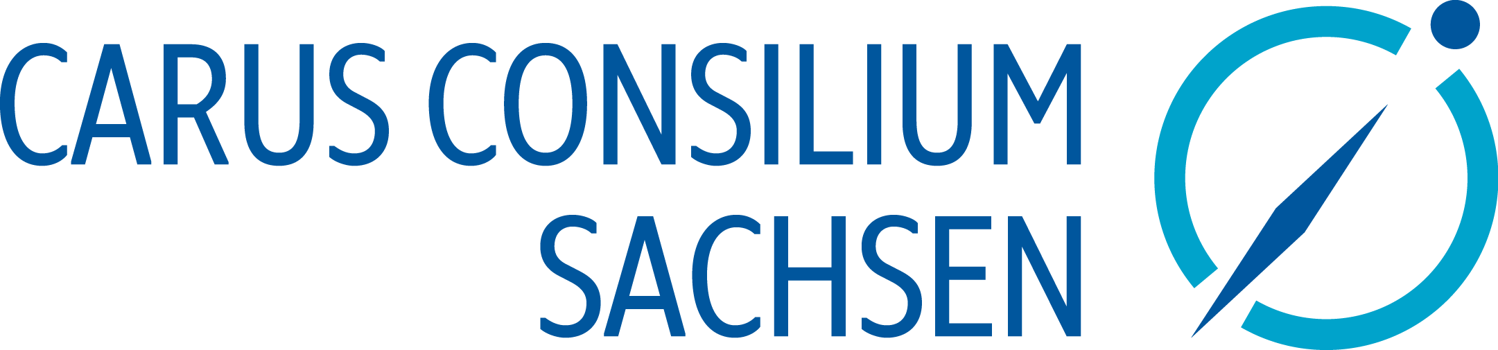 ccs logo 100prozent 4c ccs logo 100prozent 4c