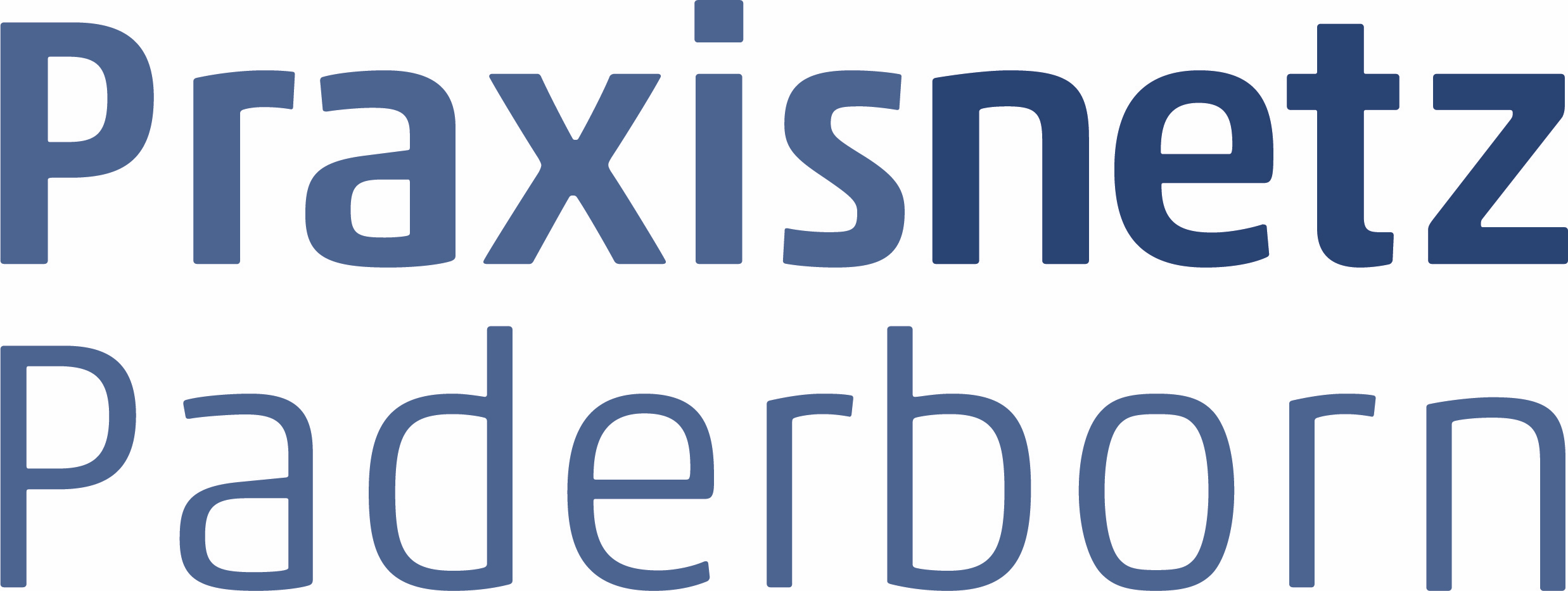 praxisnetz logo.jpg